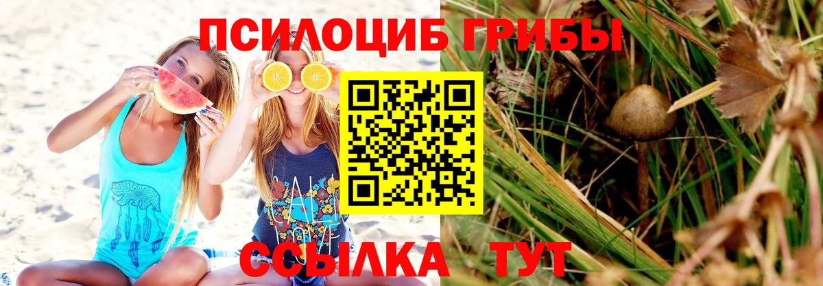 Псилоцибиновые грибы Psilocybine cubensis  Вход с VPN  Знаменск 