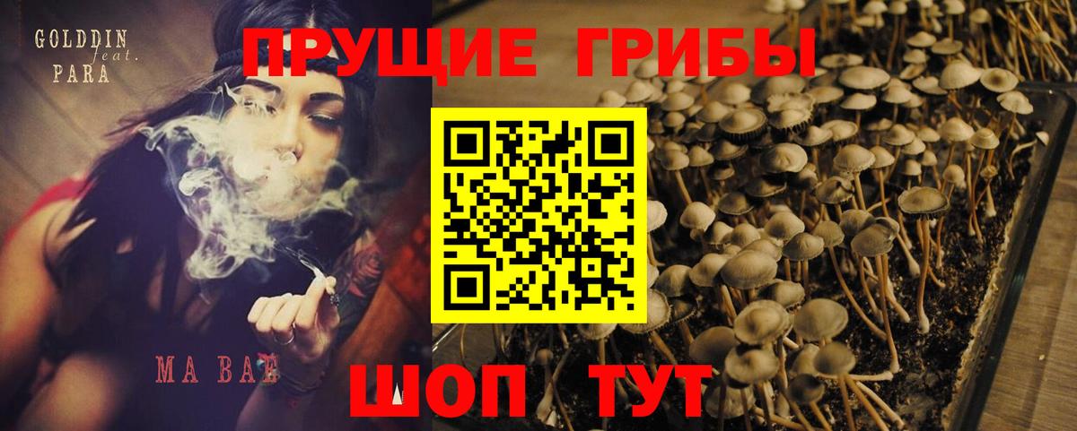 Псилоцибиновые грибы ЛСД Знаменск